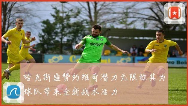 哈克斯盛赞约维奇潜力无限称其为球队带来全新战术活力